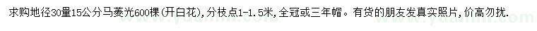 求購30量15公分馬靈光