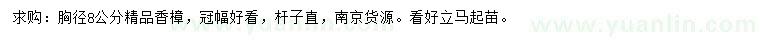 求購胸徑8公分香樟