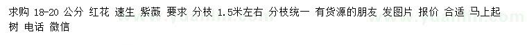 求購18-20公分紅花速生紫薇
