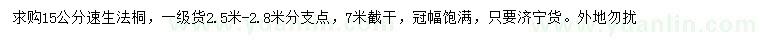 求購15公分速生法桐