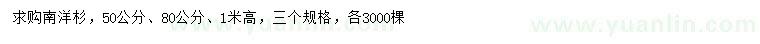 求購高50、80、1米南洋杉