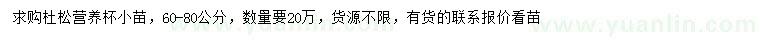 求購60-80公分杜松