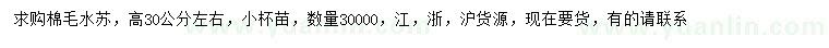 求購高30公分左右棉毛水蘇