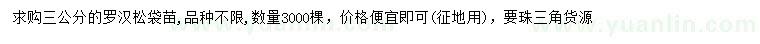 求購3公分羅漢松