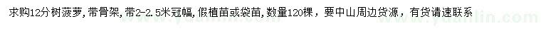 求購12公分樹菠蘿