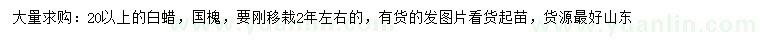 求購20公分以上白蠟、國槐