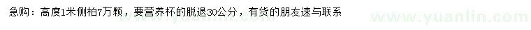 求購高1米側(cè)柏