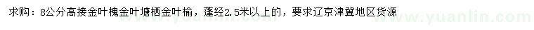 求購高接金葉槐、金葉塘棲、金葉榆