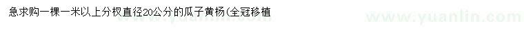 求購直徑20公分瓜子黃楊