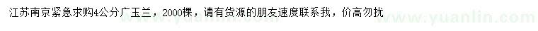 求購(gòu)4公分廣玉蘭