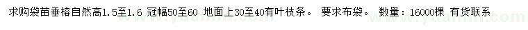 求購(gòu)垂榕