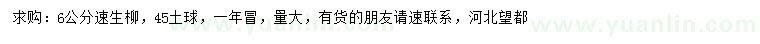 求購6公分速生柳