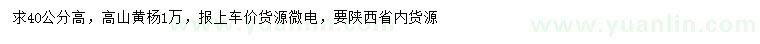 求購高40公分高山黃楊