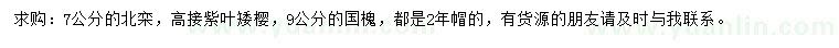 求購北欒、高接紫葉矮櫻、國槐
