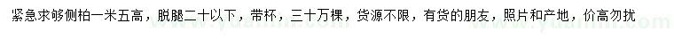 求購(gòu)高1.5米側(cè)柏