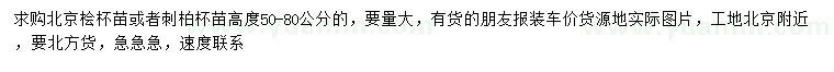 求購高50-80公分北京檜苗、刺柏苗