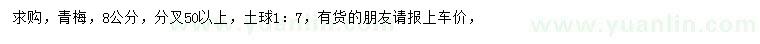 求購8公分青梅