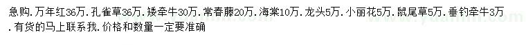 求購萬年紅、孔雀草、矮牽牛等