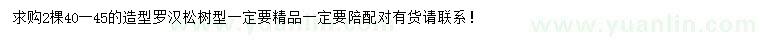 求購40-45公分羅漢松