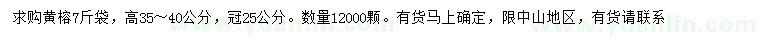 求購高35-40公分黃榕