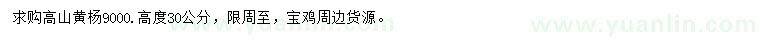 求購高30公分高山黃楊