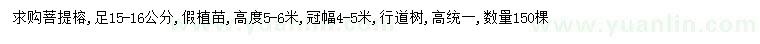 求購(gòu)15-16公分菩提榕