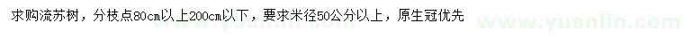 求購米徑50公分以上流蘇樹