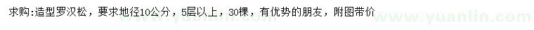 求購地徑10公分造型羅漢松
