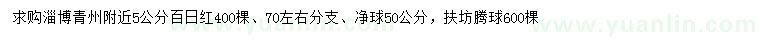 求購5公分百日紅、扶坊騰球