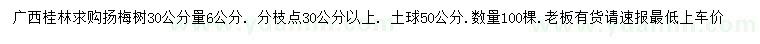 求購30公分量6公分揚(yáng)梅樹