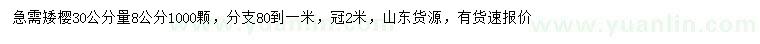 求購30公分量8公分矮櫻