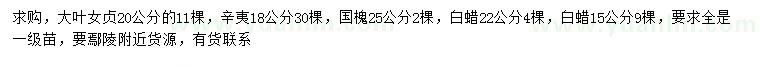 求購大葉女貞、辛夷、國槐等