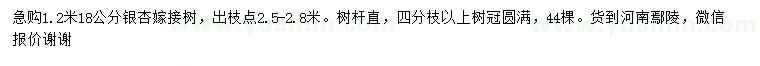 求購18公分銀杏