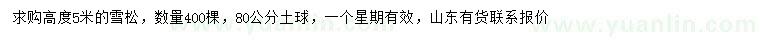 求購高5米雪松