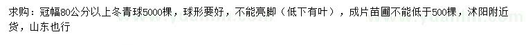 求購冠幅80公分以上冬青球