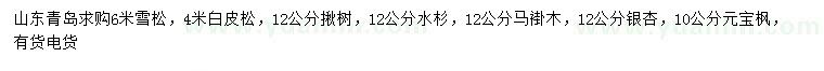 求購雪松、白皮松、揪樹等