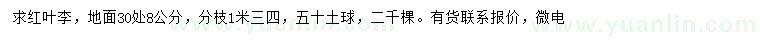 求購(gòu)30量8公分紅葉李