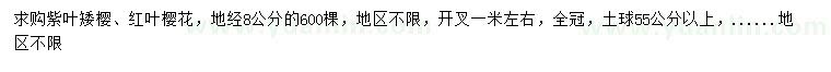 求購地經(jīng)8公分紫葉矮櫻、紅葉櫻花