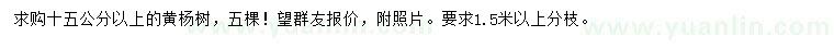 求購15公分以上黃楊樹