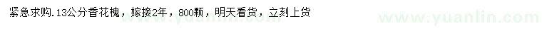求購13公分香花槐