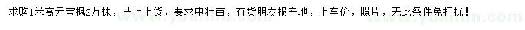 求購高1米元寶楓