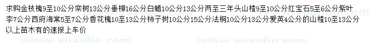 求購金枝槐、欒樹、垂柳等