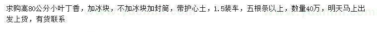 求購高80公分小葉丁香