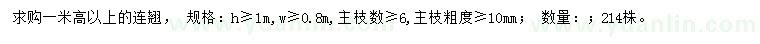 求購高1米以上連翹