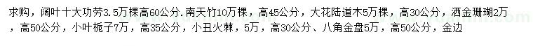 求購闊葉十大功勞、南天竹、大花陸道木等