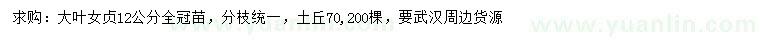求購12公分大葉女貞