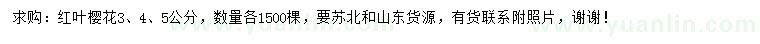 求購3、4、5公分紅葉櫻花     