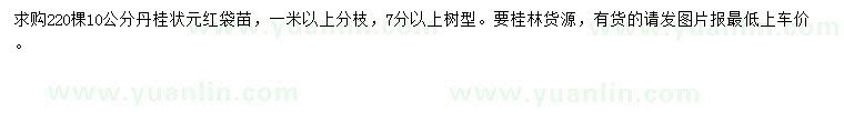 求購10公分丹桂狀元紅袋苗