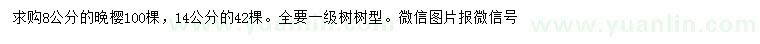 求購(gòu)8公分晚櫻