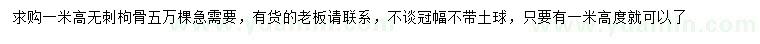 求購(gòu)高1米無刺枸骨